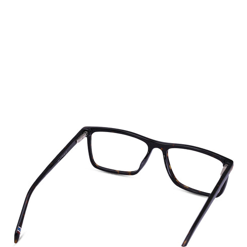 Marvin Moo - Fabrizio