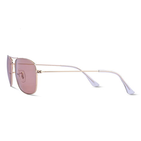 Vogily Eyewear- Collins