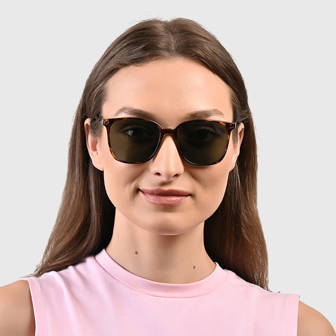 Vogily Eyewear- Perkins