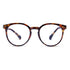 Vogily Eyewear- Clark