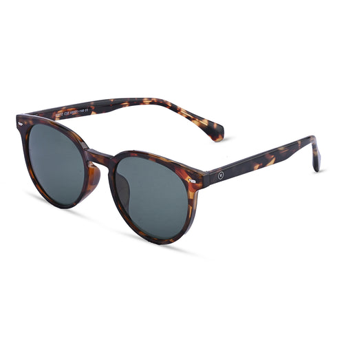Vogily Eyewear- Madox