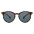 Vogily Eyewear- Madox